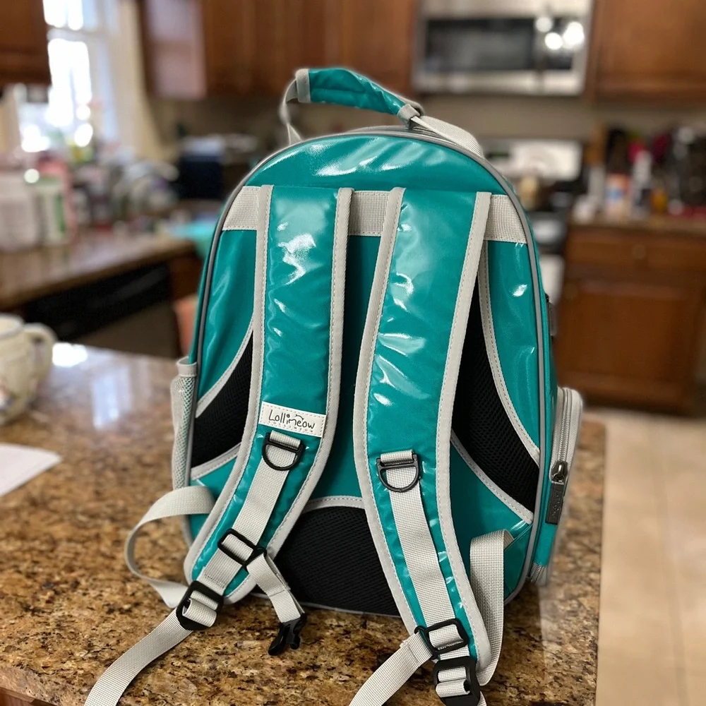 Pet carrier backpack